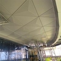 Perforated Acoustic Ceiling