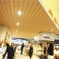 100mm Airport Pland Ceiling Aluminum G Shape Metal Linear Strip Ceiling Design