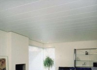 Aluminum S-Strip Ceiling Linear Windproof