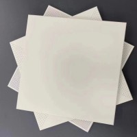 Aluminum Clip in Ceiling Perforated Clip in Ceiling Tiles with Sound Absorbing Black Paper